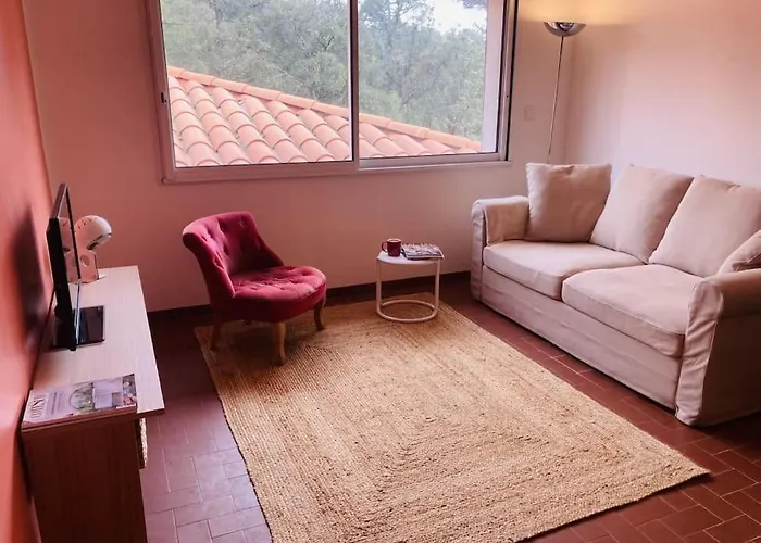 Charmant T2 De 36M2 En Provence